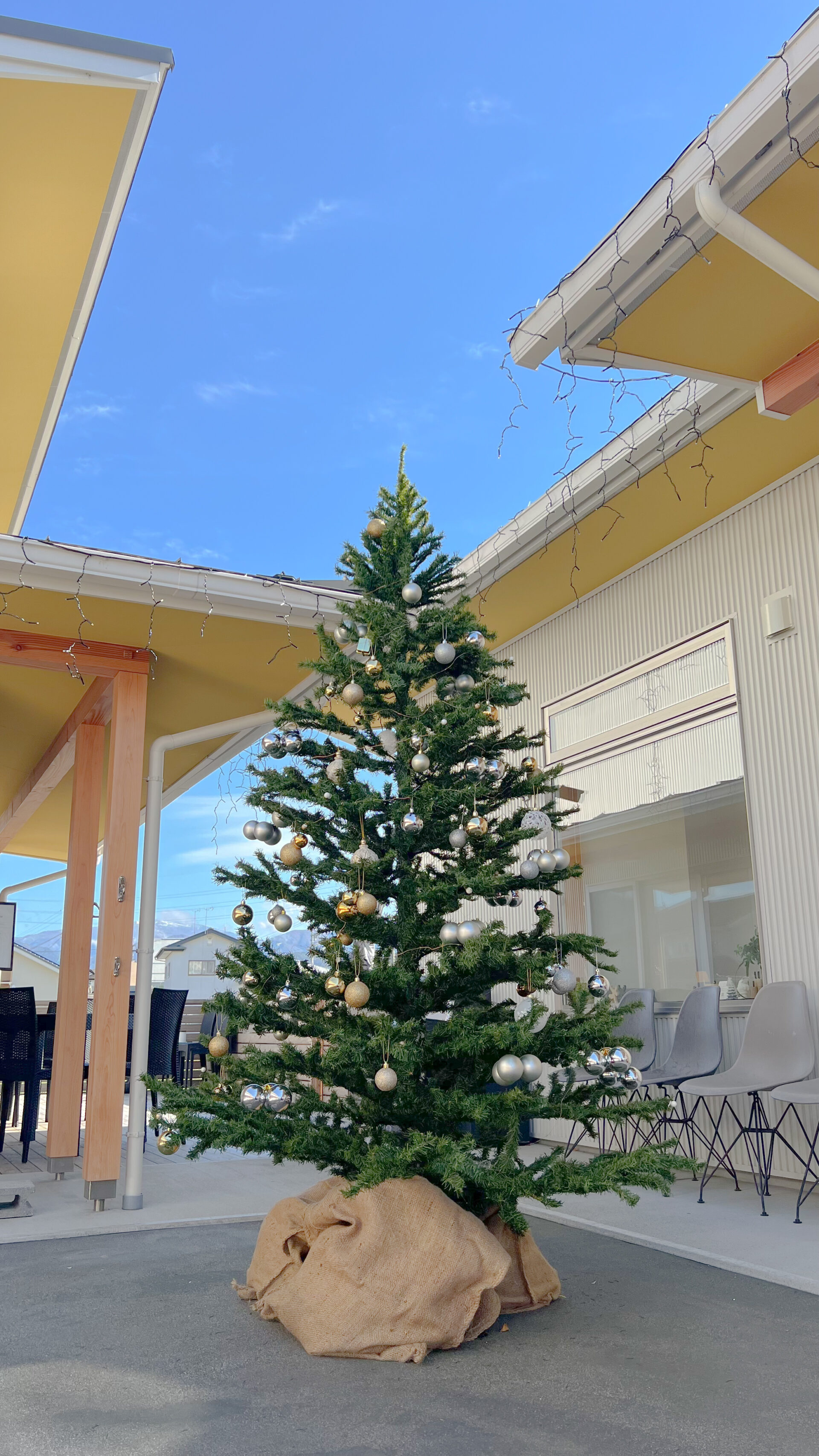 クリスマスツリーとイルミネーションを設置しました！