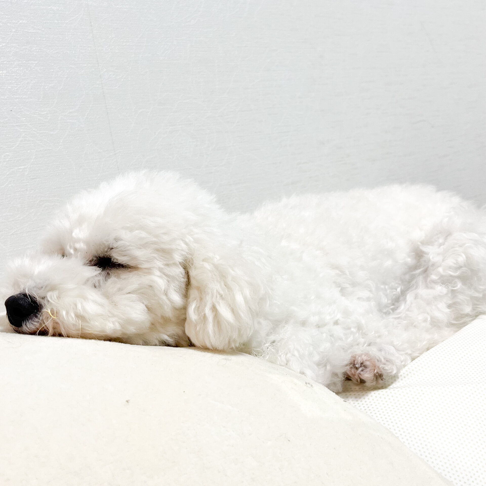 冬のおさんぽ、休むのもケア。