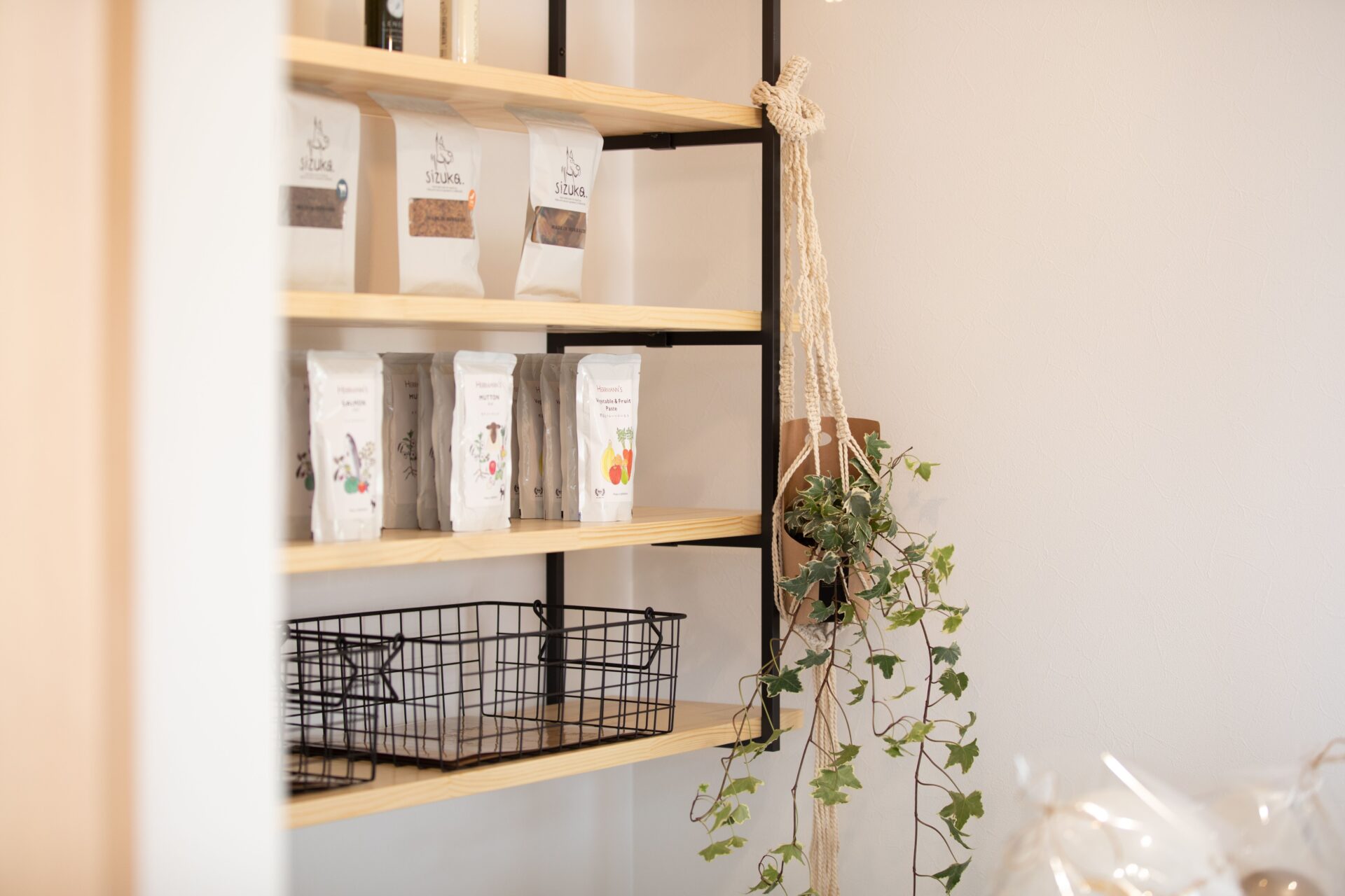 愛犬たちのカウンセリング相談