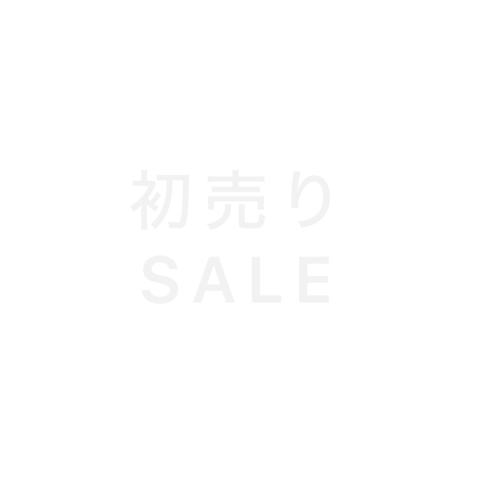 初売りSALE終了間近｜過去ブログで紹介したわんちゃん用品も