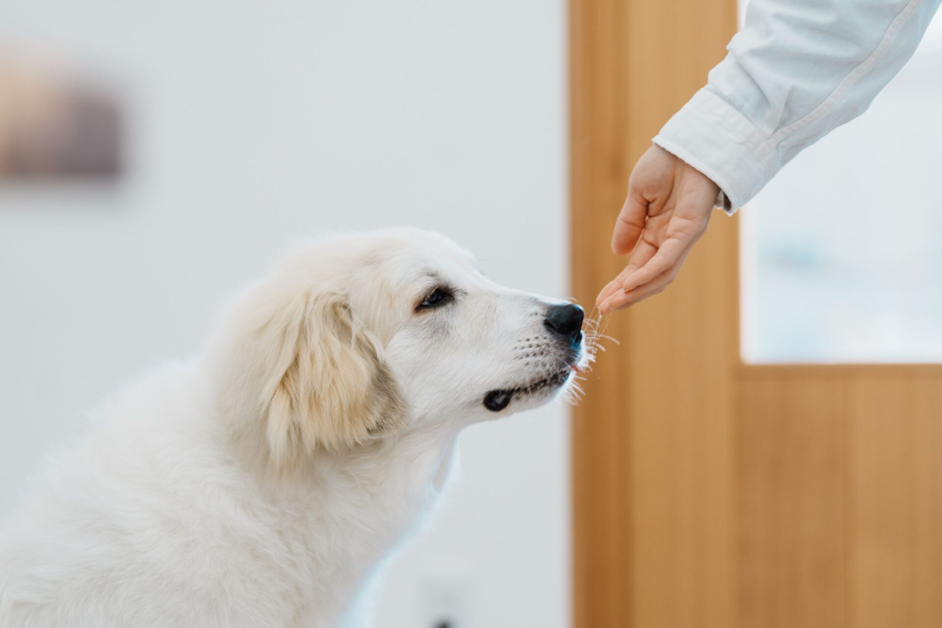 ごはんを減らしても痩せないときに見直したいこと