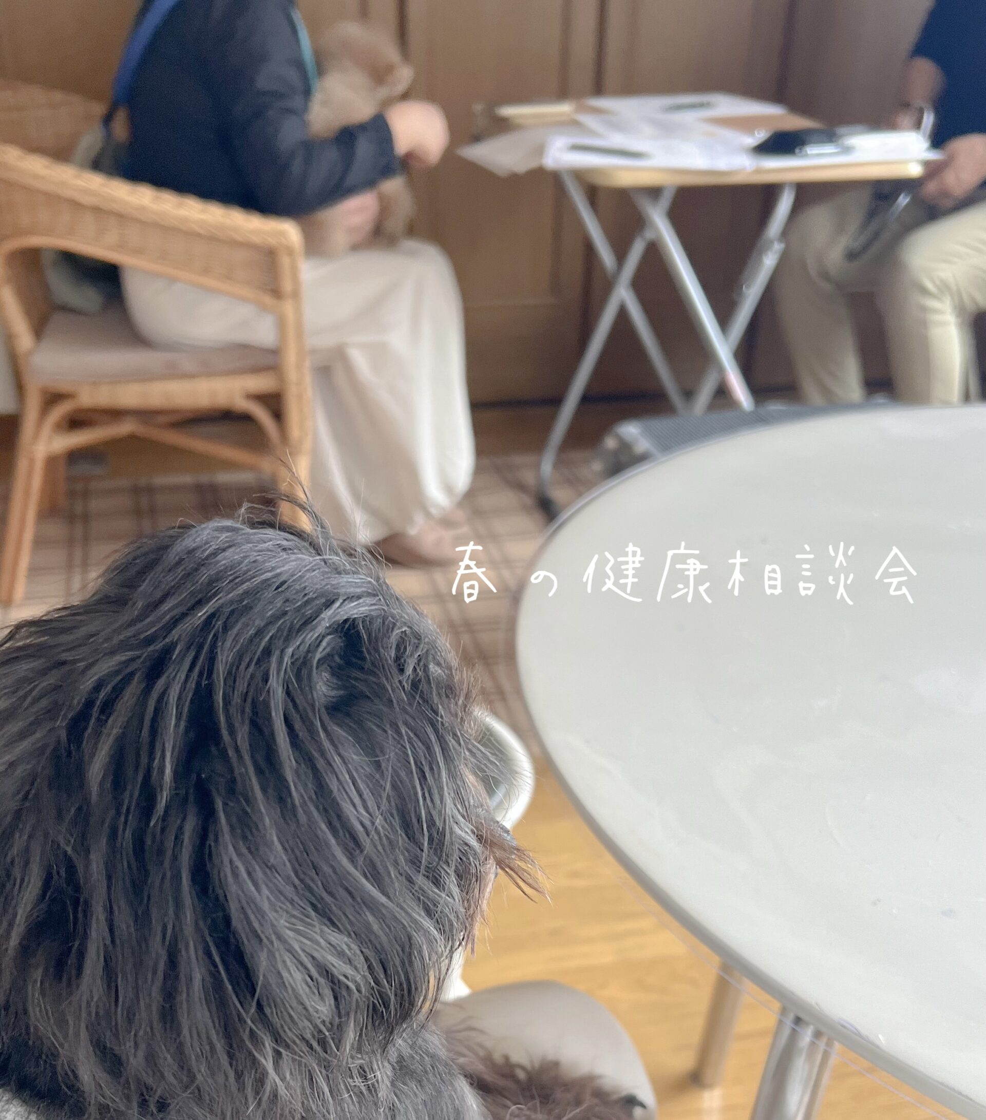 【春の健康相談会】を開催しました！